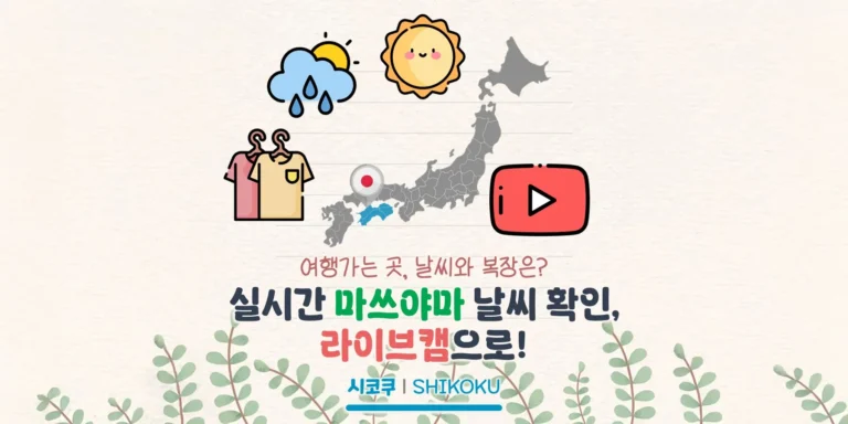 마쓰야마 여행 전 날씨와 복장 확인하기, 라이브캠으로 보는 현지 상황
